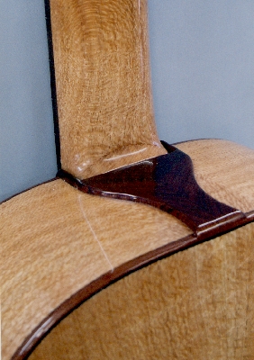 Heel and neck detail