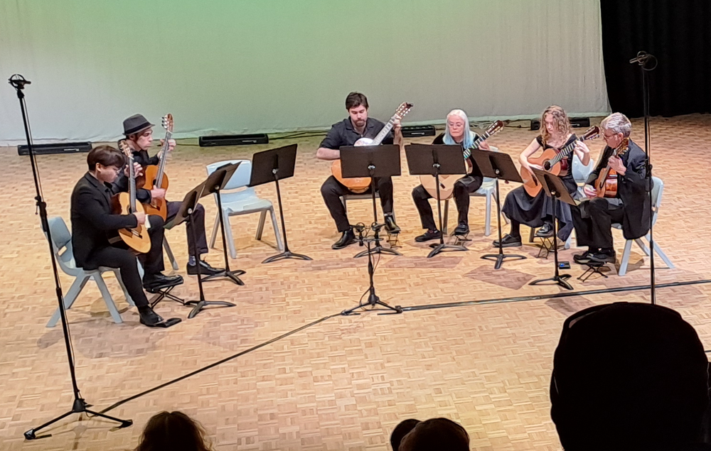 WAPA Plectra Guitar Ensemble CGEF25 (947K)