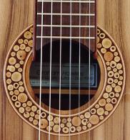 Rosette of sheoak twigs cut in cross section and set in epoxy resin